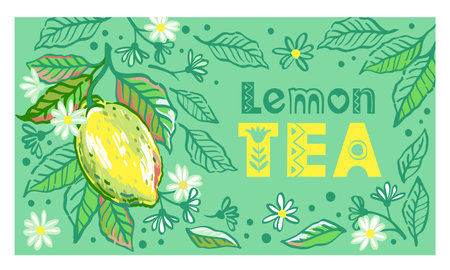 Vector hand drawn illustration of branches lemon tree with fruit, leaves and flowers. Illustrations of bright ripe citrus fruit in the style of pencils sketch for package designのイラスト素材