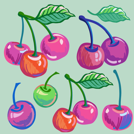 Vector hand drawn sketch of cherry fruits. Illustrations of bright ripe fruit for package design