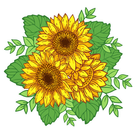 Hand drawn illustration of sunflowersのイラスト素材
