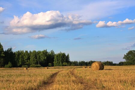 A beveled field of dry grass and sky with cloudsの写真素材