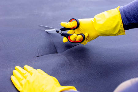 Step by step. Instructions for planting pepper seedlings on spunbond, cutting out a hole for seedlings.の写真素材