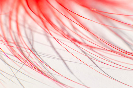 Fluff of red gentle feather bird close up
