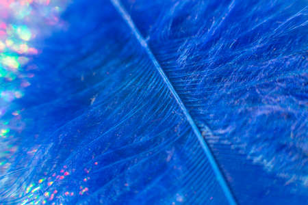 Fluff of blue feather bird close upの写真素材