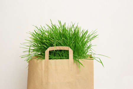 a big paper bag of green grass on light backgroundの写真素材