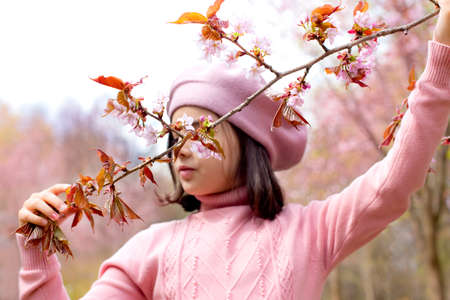 A little girl in a pink jumper hold a branch of cherry blossoms, in the park during the dayの写真素材