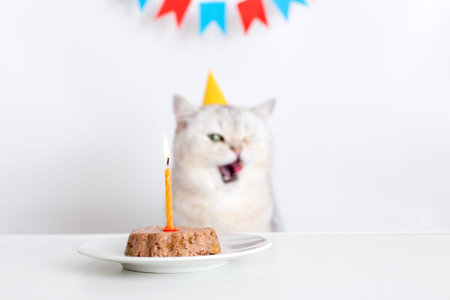 A cat in a yellow paper cap sits at a white table with a canned cat cake with a burning candle and licks his lips.の写真素材