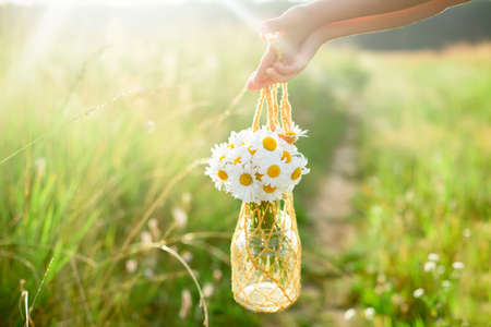 hands of a little girl, holding a knitted bag with a bouquet of daisies in a field, on a sunny day.の写真素材