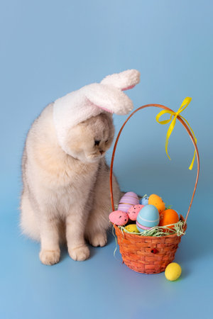 Cute white cat in hat with bunny ears looking at Easter basket with colorful eggsの写真素材