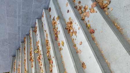 Fallen autumn leaves scattered on concrete stepsの写真素材