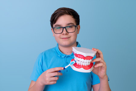 Young male teen brushing model teeth with blue toothbrushの写真素材