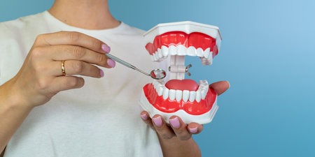 Female holding dental model with mirror for oral health education on blue backgroundの写真素材