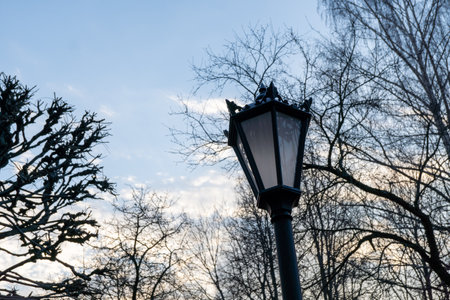 Vintage lantern amidst winter trees against a dusk skyの写真素材