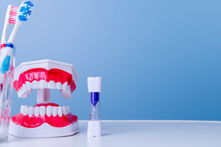 Dental hygiene tools with toothbrush, model dentures, and timer on blue backgroundの写真素材