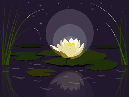 A cute cartoon style water lily illustration. flat design.のイラスト素材