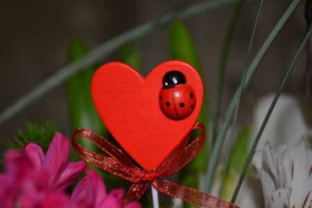 heartlandの写真素材