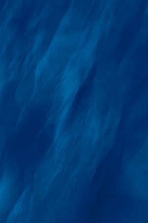 Plant background, tropical blue leaves. Toned photo, space for textの写真素材