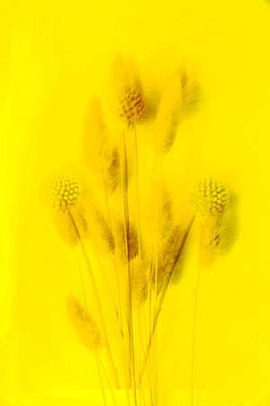 Background and texture, abstract and pattern. Bright and contrasting pattern. Art photoの写真素材