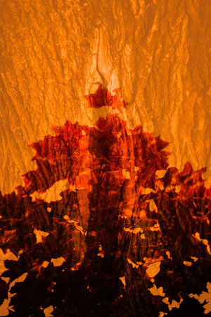 Background and texture, abstract and pattern. Bright and contrasting pattern. Art photo