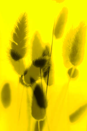 Background and texture, abstract and pattern. Bright and contrasting pattern. Art photoの写真素材