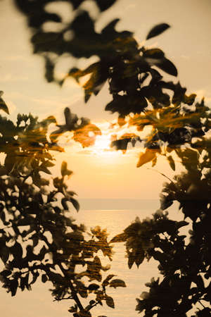 Background and texture, abstract and pattern. Bright and contrasting pattern. Art photoの写真素材