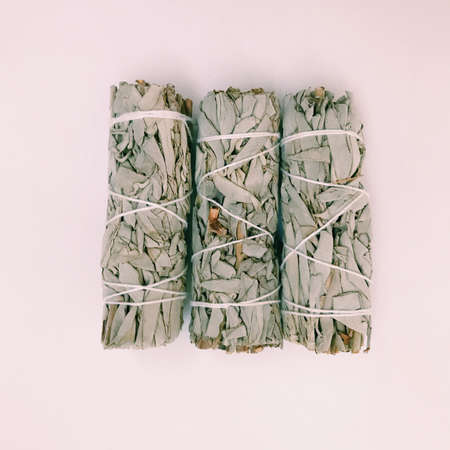 Natural incense White Sage. Sacred tree of South America, color square photo.White Sage on white background.の写真素材