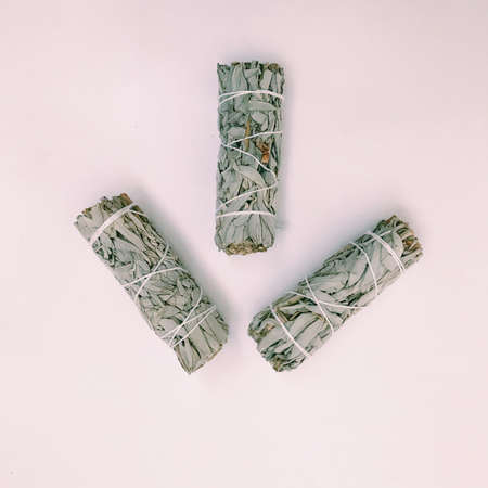 Natural incense White Sage. Sacred tree of South America, color square photo.White Sage on white background.の写真素材