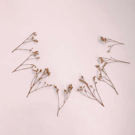 Fluffy tan pom pom plants bouquet on white background. Minimal floral holiday composition.の写真素材