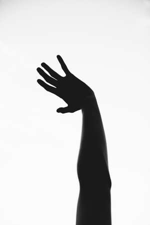 Silhouettes of Beautiful Girlの写真素材