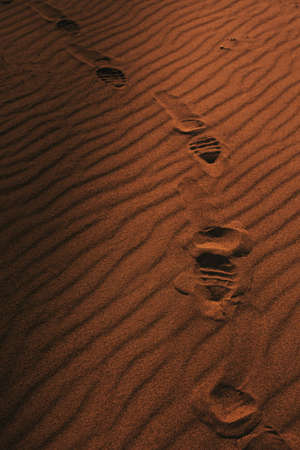 landscape earth texture, natural backgroundの写真素材