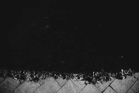 Background and texture, abstract and pattern.の写真素材