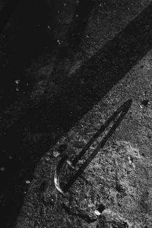Background and texture, abstract and pattern.の写真素材