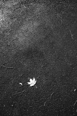 Background and texture, abstract and pattern.の写真素材