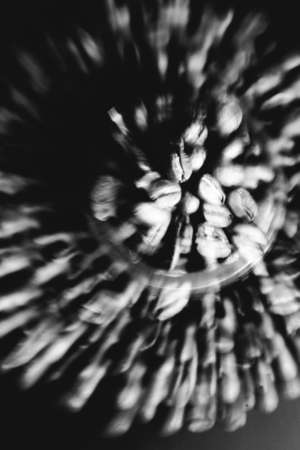 coffee beans, macro shot, backgroundの写真素材