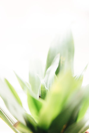 Abstract green texture, nature background