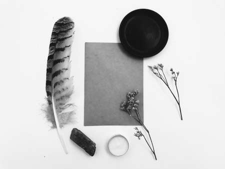 Feather texture background, layout for textの写真素材