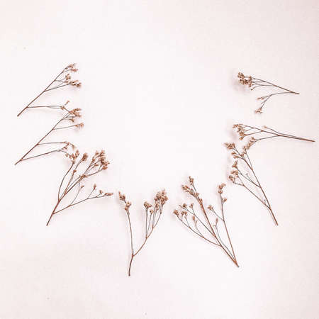 Beautiful pattern with neutral colors. Minimal, stylish, trend concept. Closeup photo.の写真素材