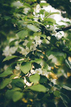 Dark green leaves, green leaves background, abstract natural background