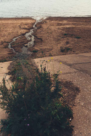 Close-up of water texture, smooth blue waves of water on the shore beach, color landscape photo of water.Smooth and beautiful waves on the beach. The texture of the water in Icelandの写真素材