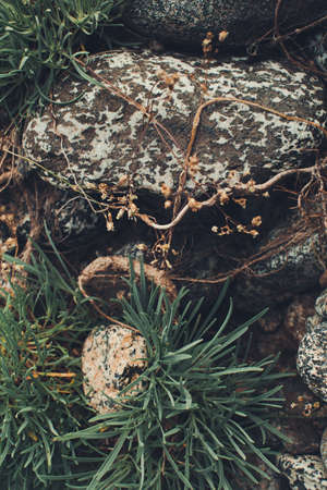 natural backgrounds, color landscapeの写真素材
