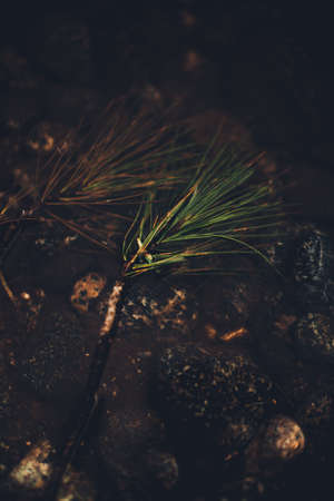 natural backgrounds, color landscapeの写真素材