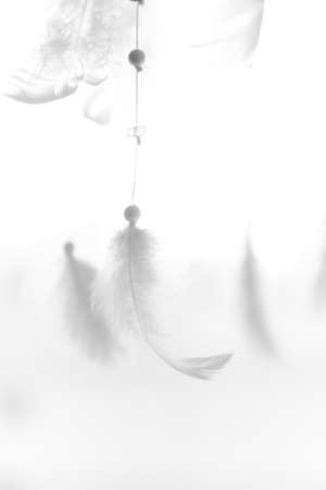 Feather texture background, layout for text.Light, white decorative feathers. Light background. Flight and the Dreamcatcherの写真素材