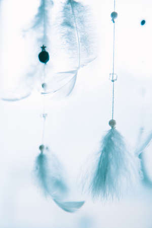 Feather texture background, layout for text.Light, white decorative feathers. Light background. Flight and the Dreamcatcherの写真素材