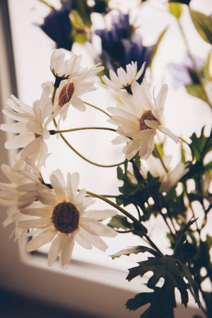 Natural background, color photo of plants and flowers. Space for text