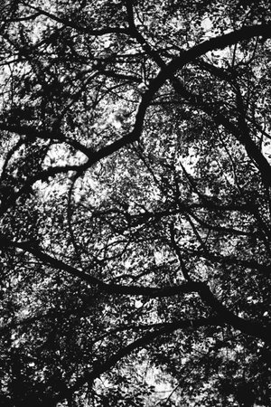 Black and white landscape photography, natural urban background and unusual textures