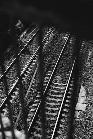 Black and white landscape photography, natural urban background and unusual texturesの写真素材