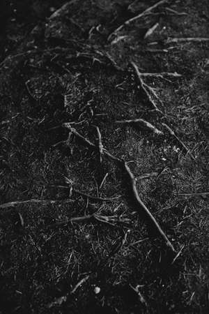 Black and white landscape photography, natural urban background and unusual texturesの写真素材