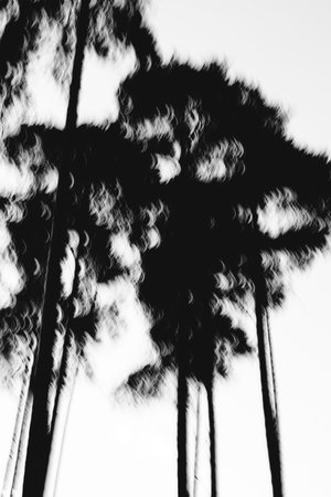 Black and white landscape photography, natural urban background and unusual textures