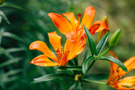 Color landscape photography, the texture of nature in the urban spaceの写真素材