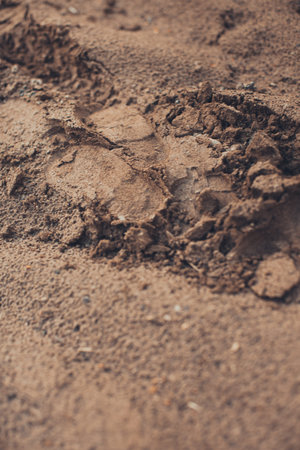 Color landscape photography, the texture of nature in the urban space