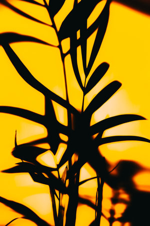 Dark silhouette of tropical plant on yellow background